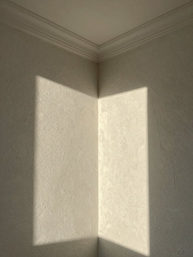 Close environmental shot of an interior wall junction where ceiling cornice meets a textured plaster wall, north-facing daylight skimming across the surface to reveal material depth and shadow relief, empty room corner showing proportion and craft