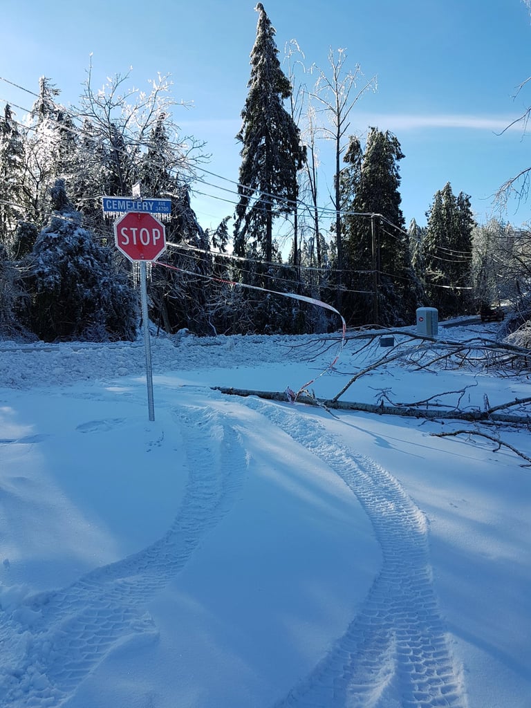 a stop sign covered in ice on a snow covered side road. There is caution tape tied from the sign to the fallen tree beside it