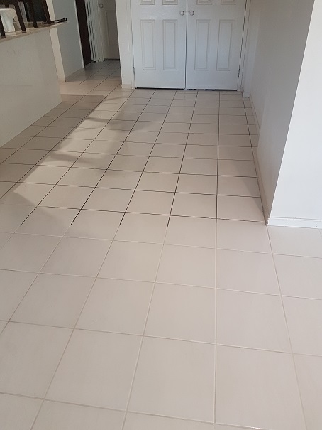 Tile cleaning Singleton