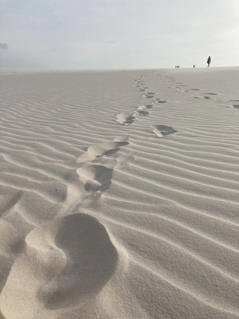 Technical Communicator and Data Storyteller professional portrait