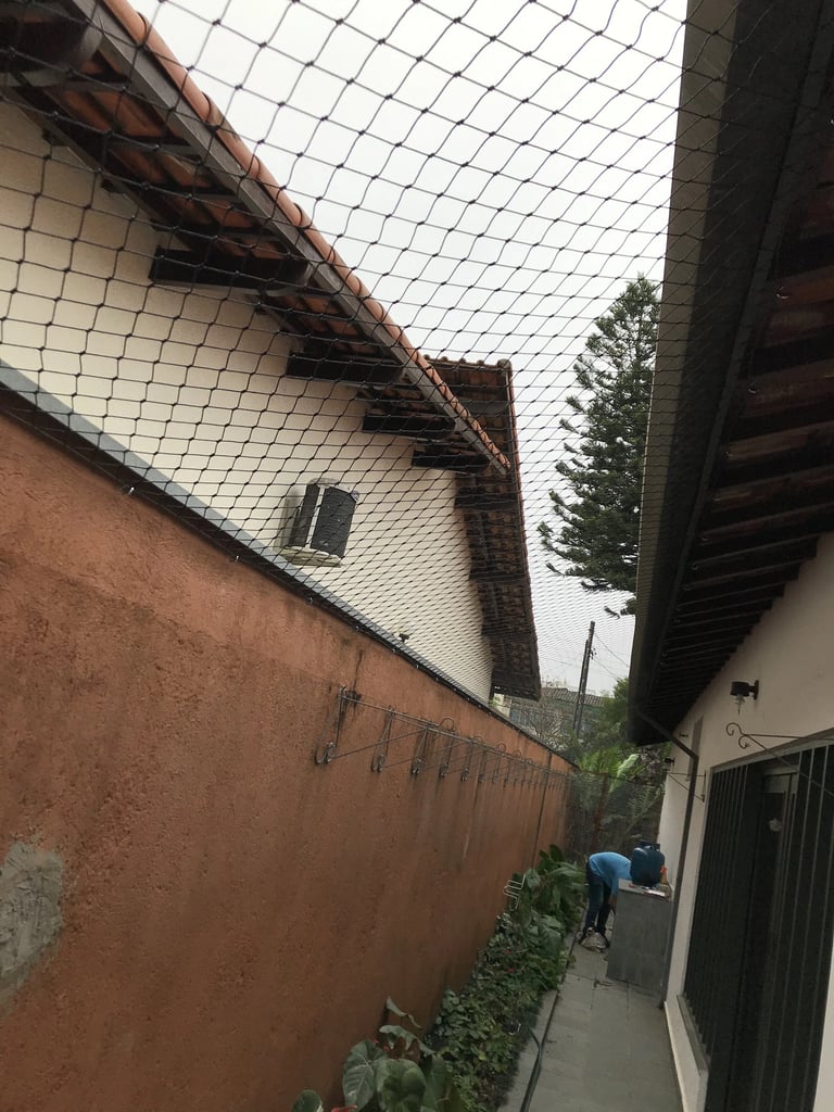 Gato seguro em janela com rede de proteção malha 5x5 instalada em São Paulo