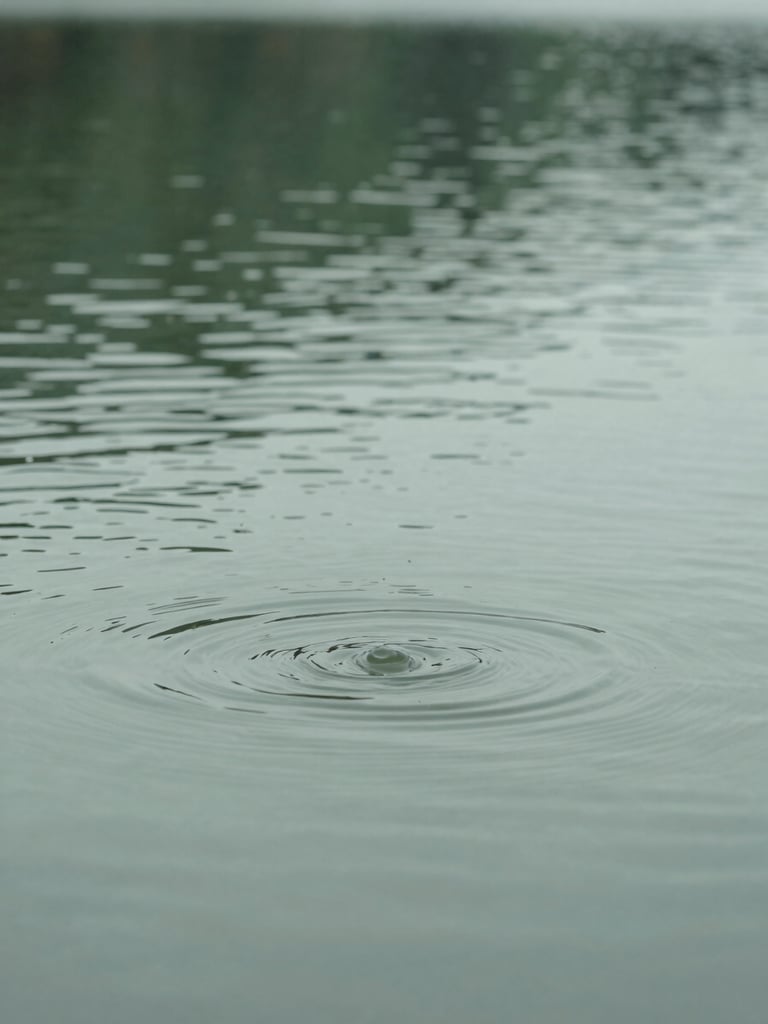 Macro shot of gentle water ripples on a quiet lake surface under overcast daylight, muted tones, 35mm