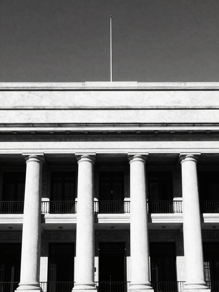 Stark black and white architectural shot of the Aguascalientes state congress building facade, harsh direct midday sunlight, deep black shadows, minimalist composition