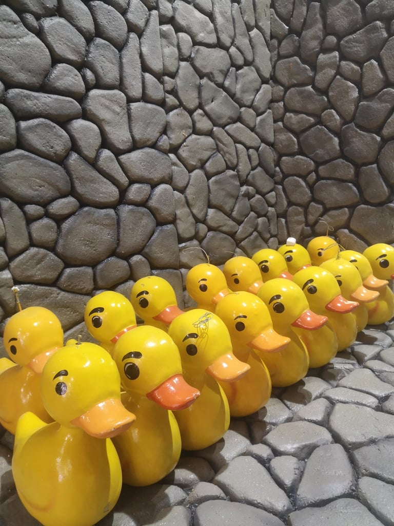 alquiler patitos amarillos fibra