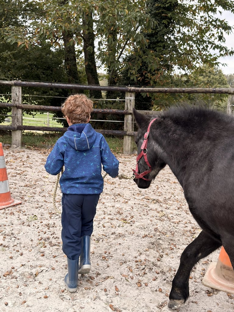 Parcours avec un poney 