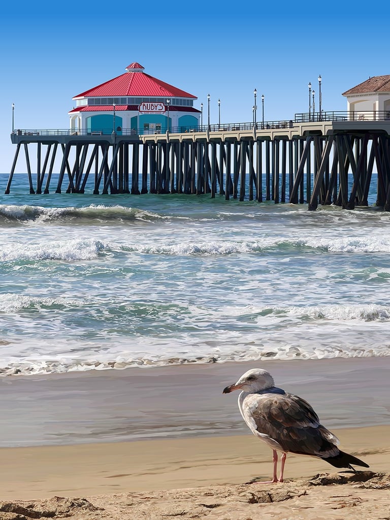 Huntington Beach Pier illustration in vector hyperrealism with Ruby's Diner and a California Gull