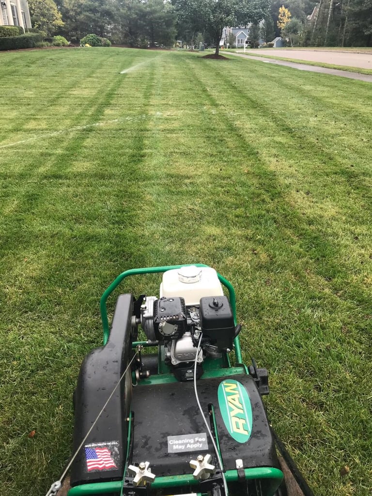 Aerator with over seed