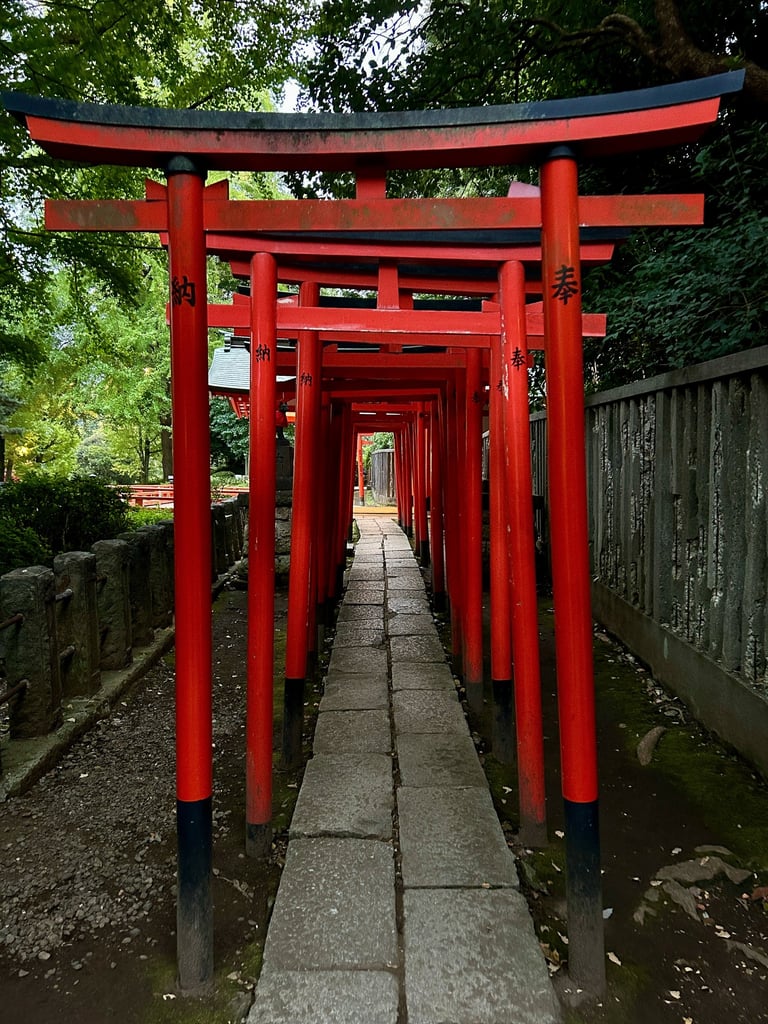 Tunnel de torii au sanctuaire Nezu-jinja à Tokyo