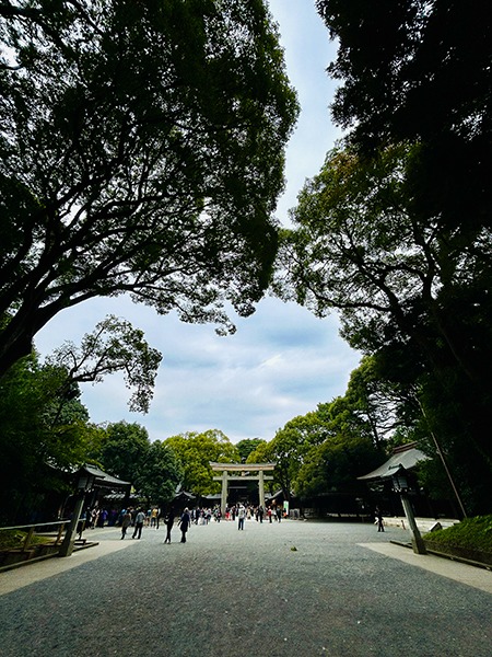 Temple Meiji-jingu