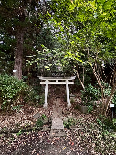 Jirô Inari Shrine aux jardins botaniques de Koishikawa à Tokyo