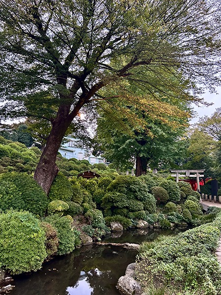 Sanctuaire Nezu-jinja à Tokyo