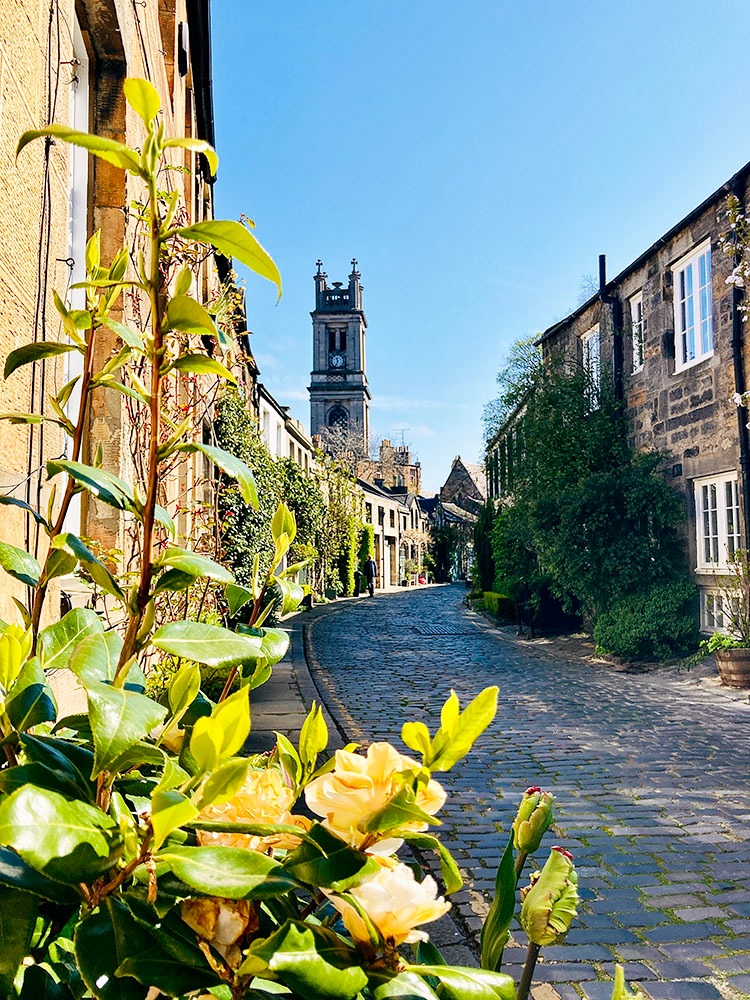 Circus Lane et ses roses jaunes