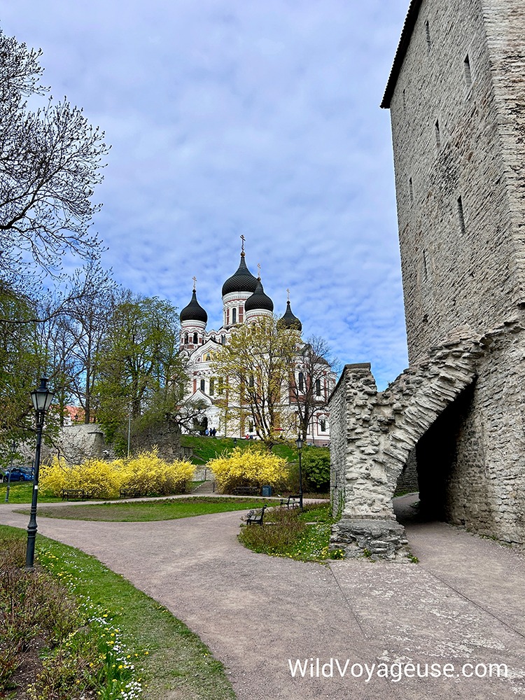 Cathédrale Orthodoxe Alexandre Nevsky