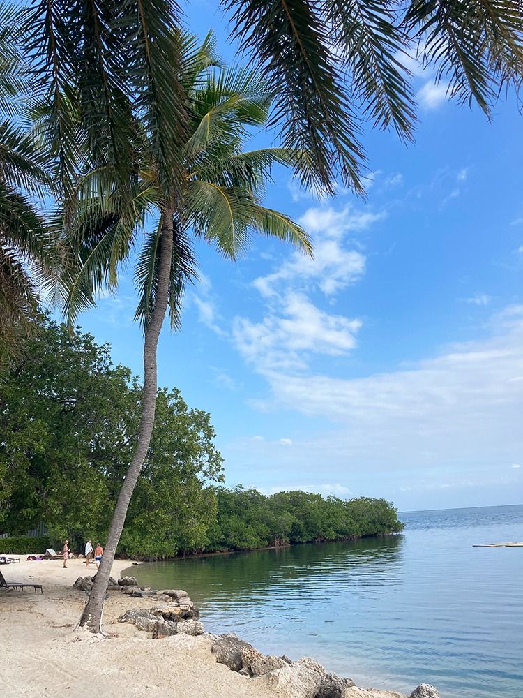 Plage de l'hotel Pelican Cove Resort & Marina, Islamorada