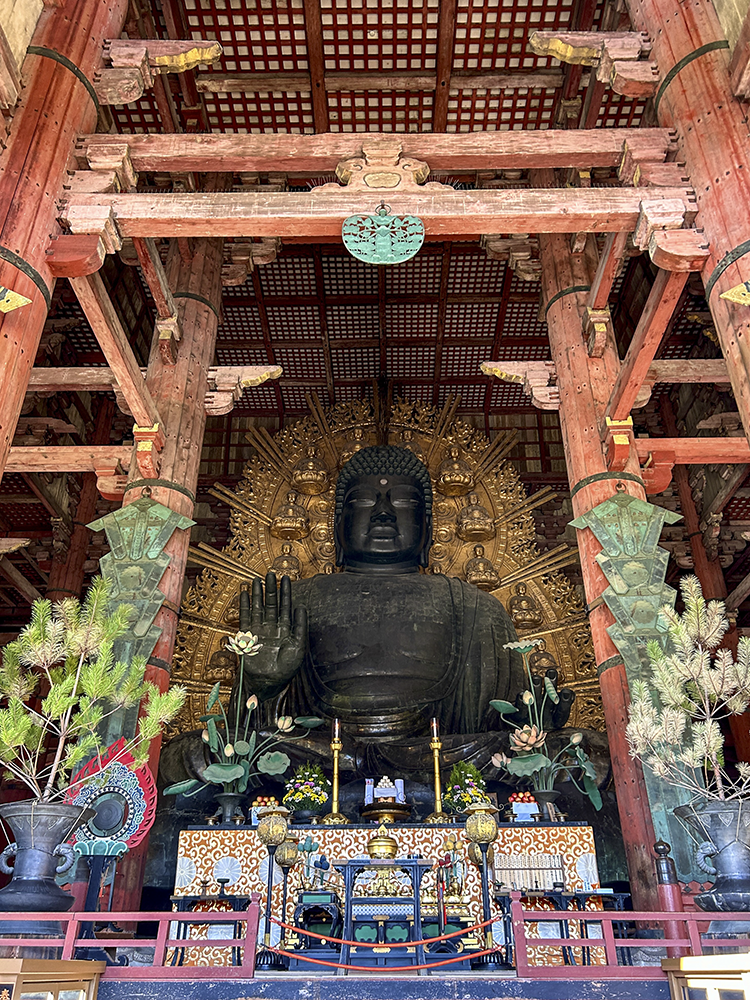 Le Grand Bouddha de Nara de face entouré de plantes et fleurs