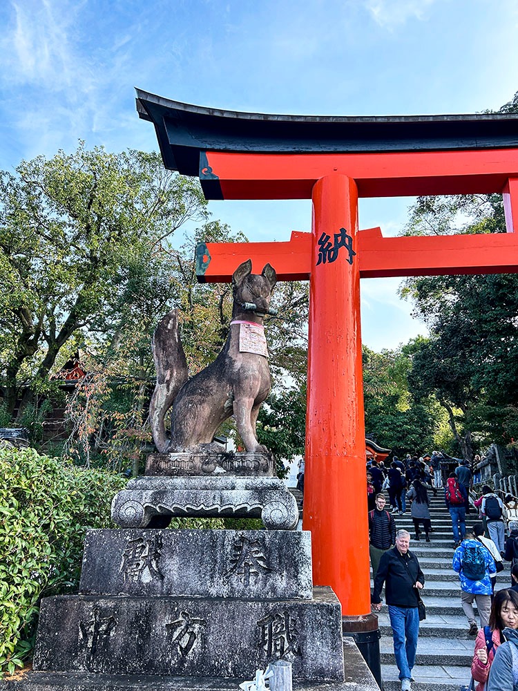 Kami renard devant une porte torii rouge