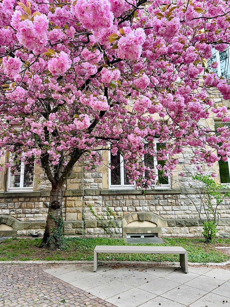 Palais de Justice de Luxembourg ville