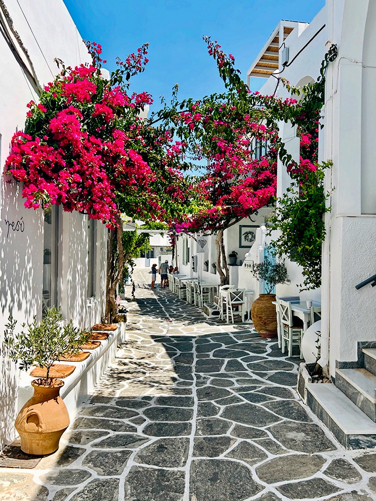 Rue pavée dans le village de Naoussa, Paros