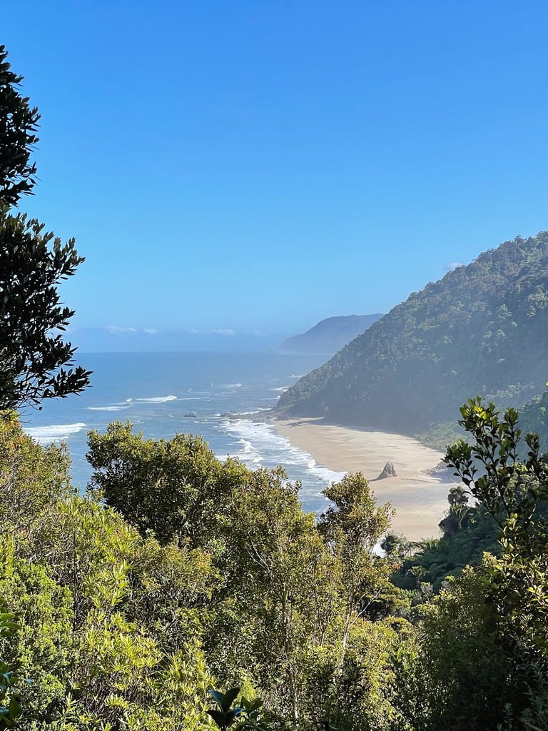 Photo of a hilly coastline, deserted wild beaches into the distance with vegetation in the foregroun