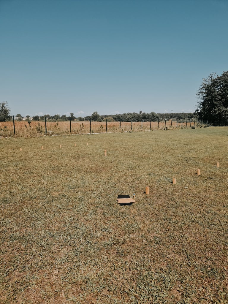 TOŠIS žaidimų nuoma šventėms Klaipėdoje