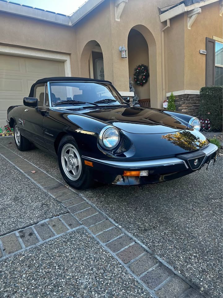 Black Alfa Romeo after car wash by road hog detailing