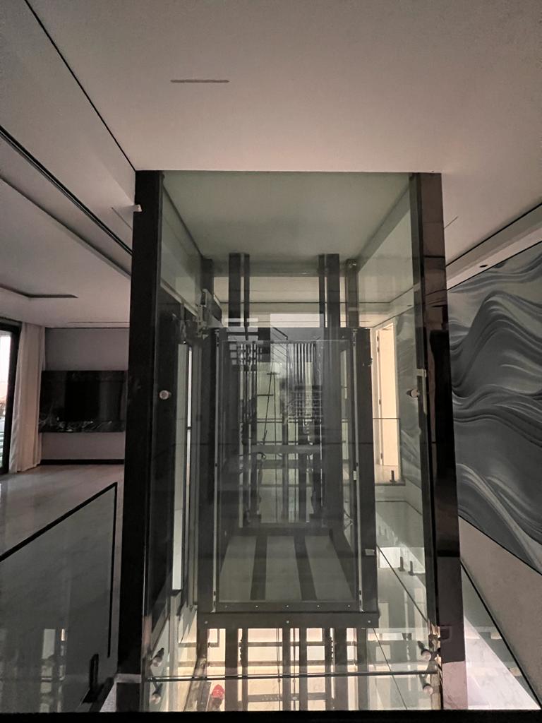 Modern residential panoramic lift with structural steel frame and tempered glass walls.