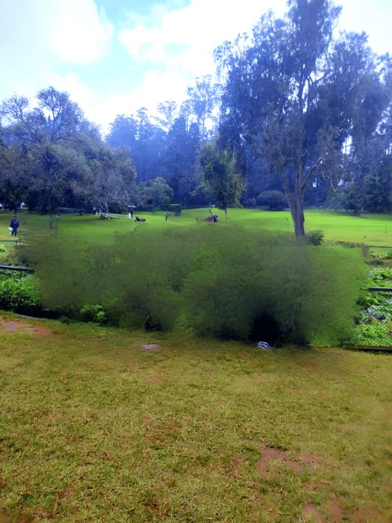 Image of the botanical garden depicts the various plants and trees