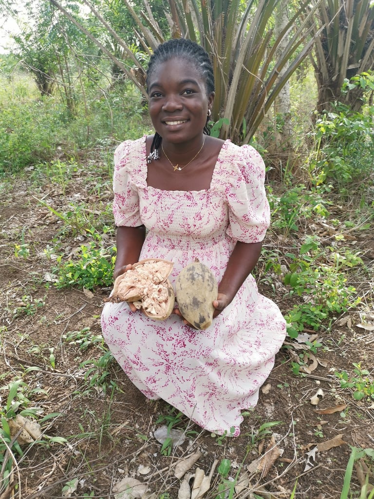 Evodie tenant un fruit de baobab ouvert pour produire sa poudre de baobab
