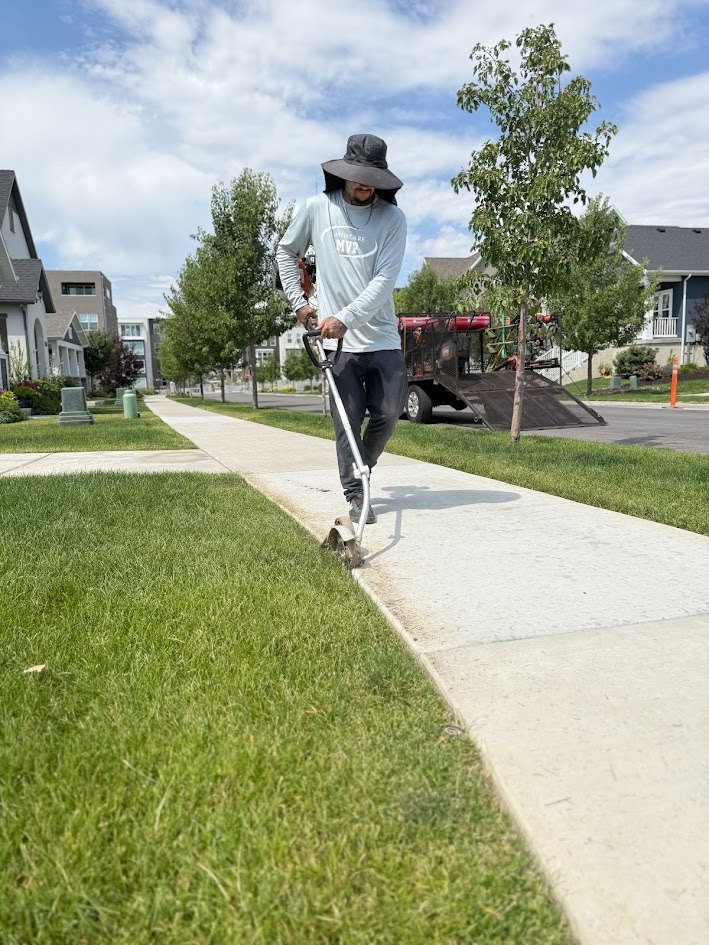 Edging and trimming Lawn