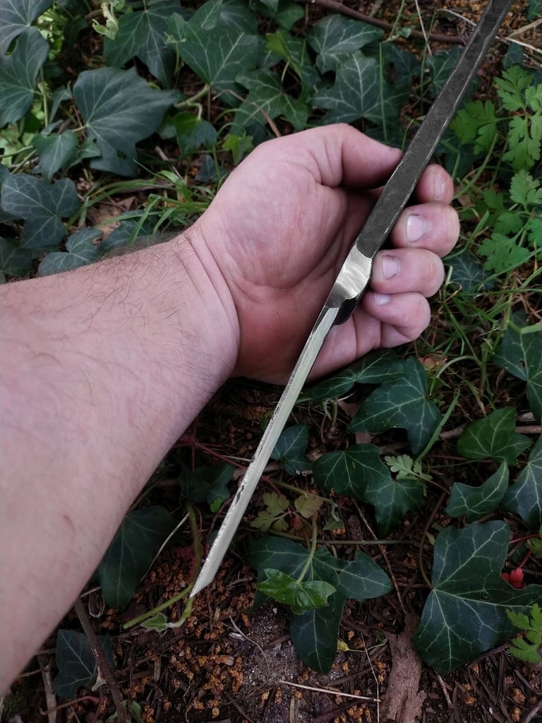 manche demi bisaigüe