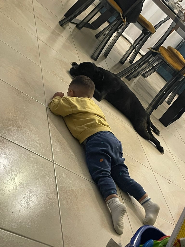 Hugo Grecalestaffs e il piccolo Leo, un legame indissolubile.