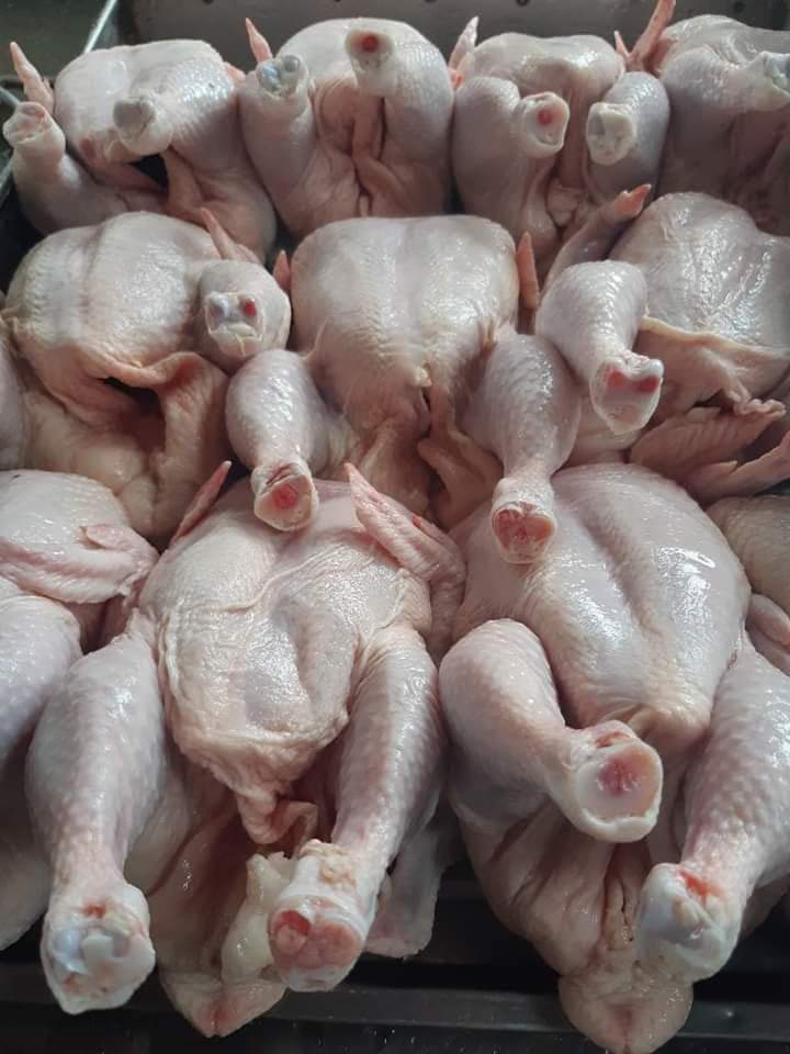 Biggest Chicken Exporters in Pakistan