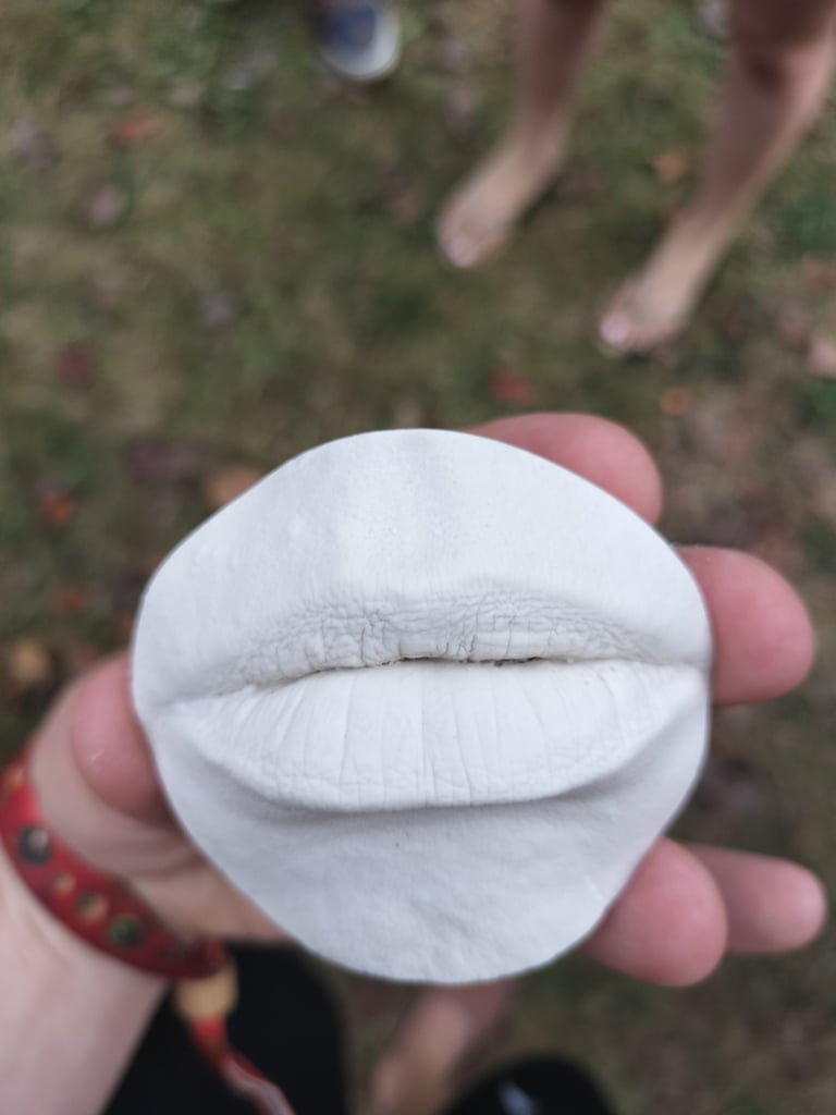 Moulage bouche en plâtre  - Moulage intime Bordeaux