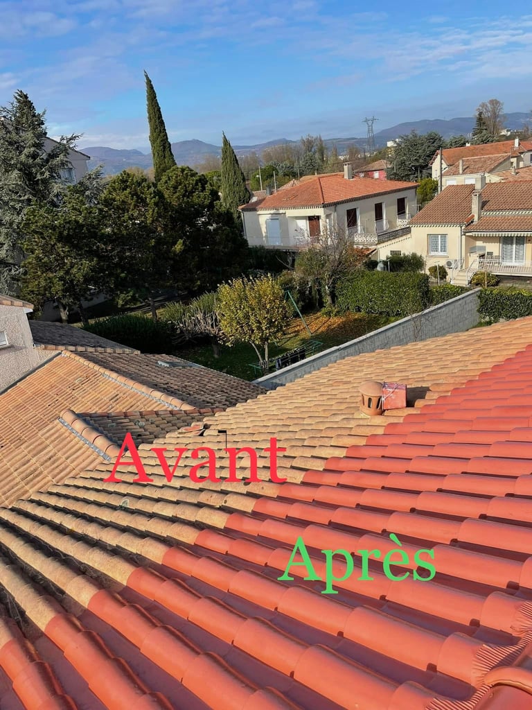 avant et après le démoussage toiture
