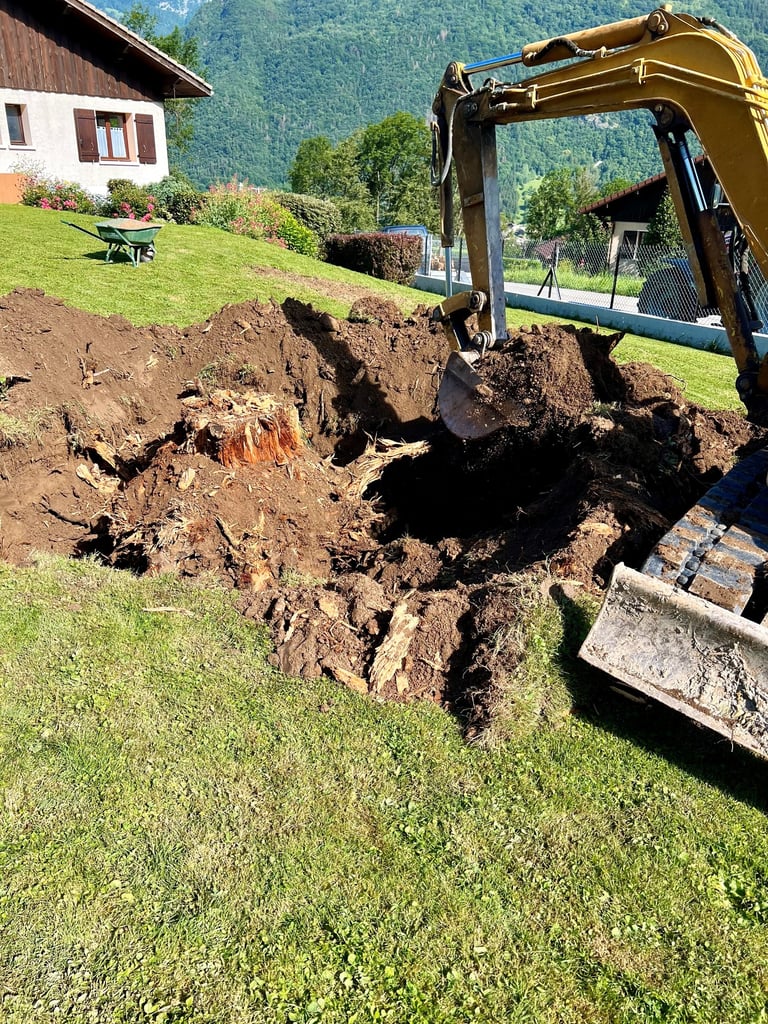 Pelle mécanique en action lors du dessouchage d’un arbre, chantier de terrassement au bout du lac d’