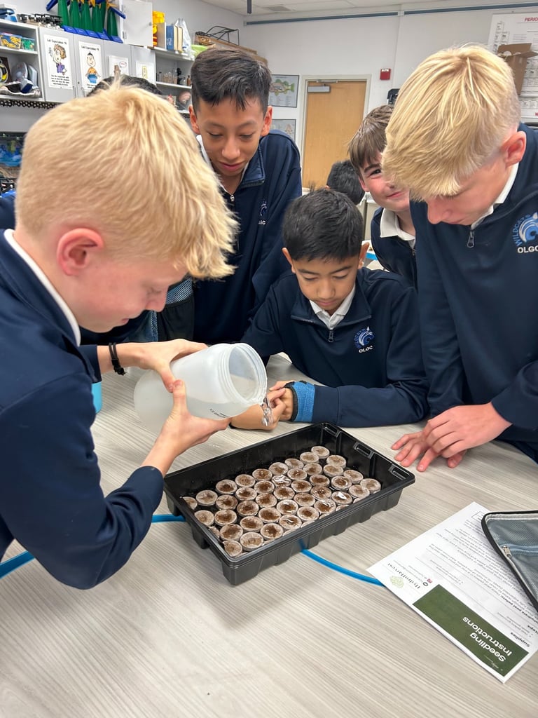 Students watering seedlings