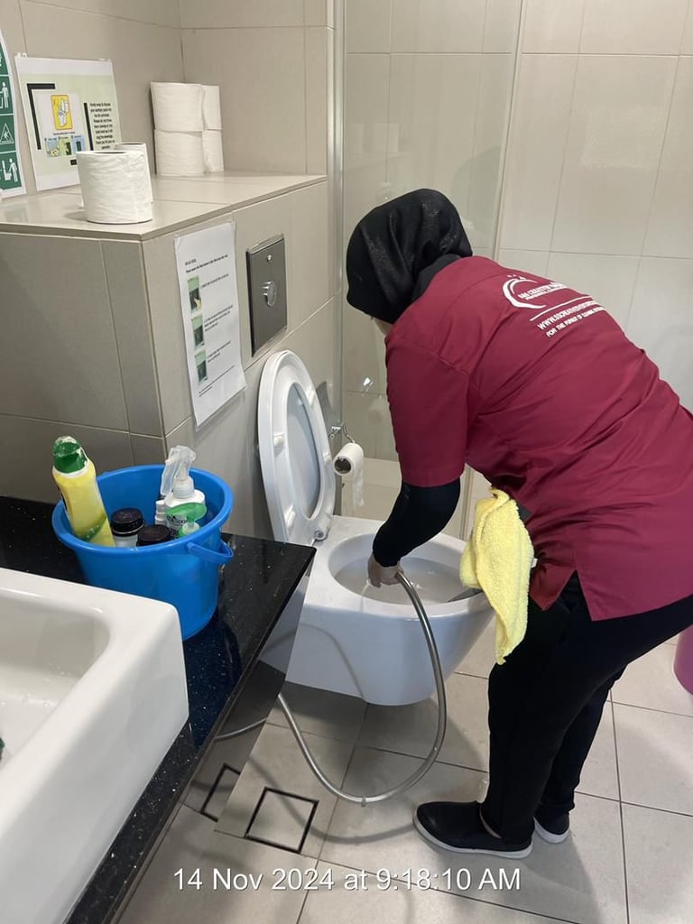 iccs cleaning solution