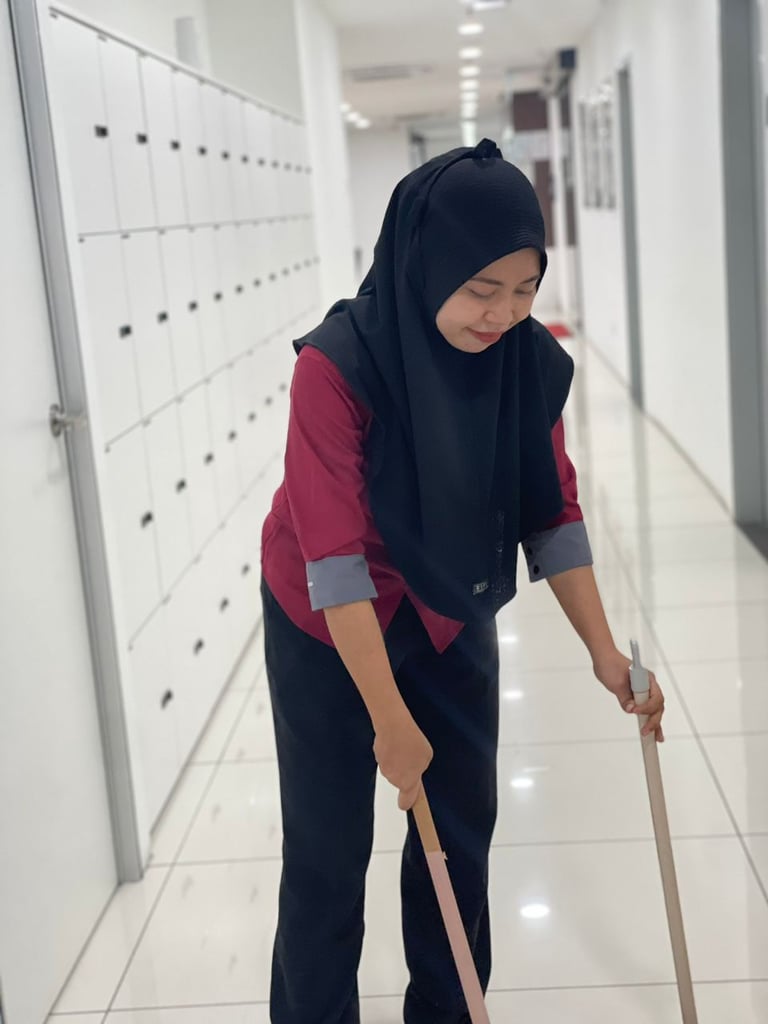 iccs cleaning solution