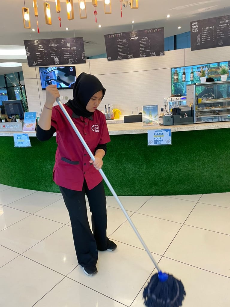 iccs cleaning solution