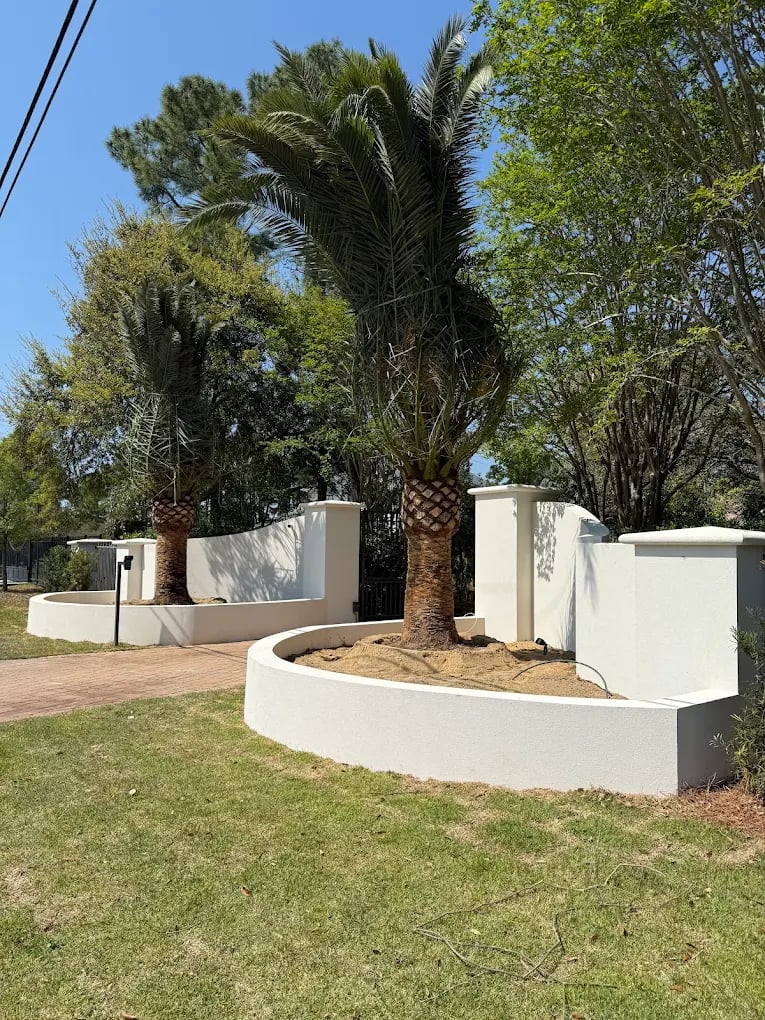 palm tree install for home entrance