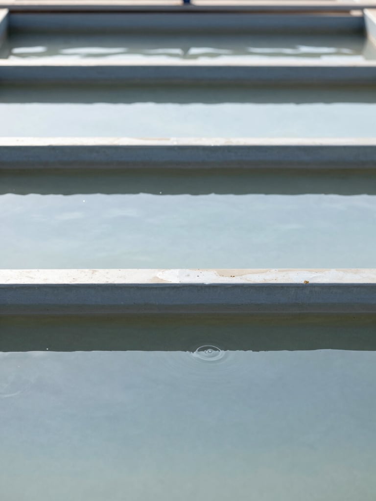 An operational wastewater treatment tank with clear water overflowing weir plates, bright daylight, crisp focus, 35mm lens.