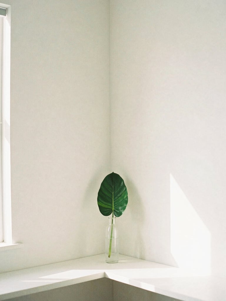 A bright, airy Bonita Springs office corner with a single green leaf in a glass vase, soft diffused sunlight, desaturated pastel tones, 35mm