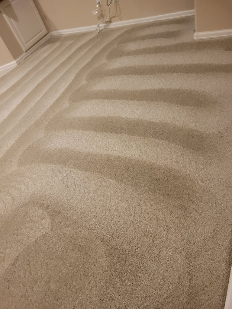 King organic Clean, Finished results of organic Carpet Cleaning