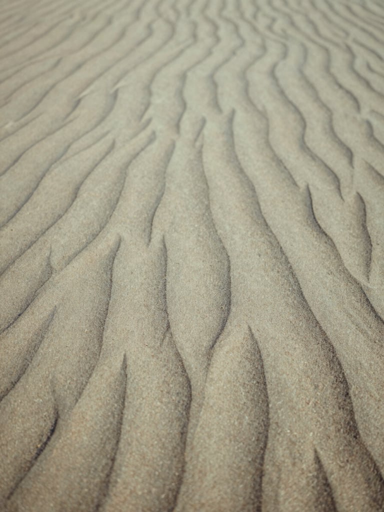 Abstract natural texture of dry sand waves and soft shadows, warm afternoon light, calming editorial photography, 35mm