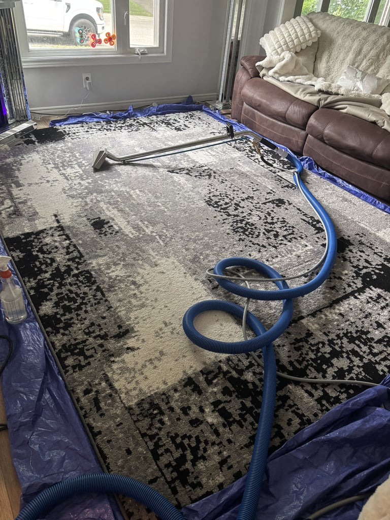 Area rug being deep cleaned with a professional steam extraction wand and hose in a living room setu