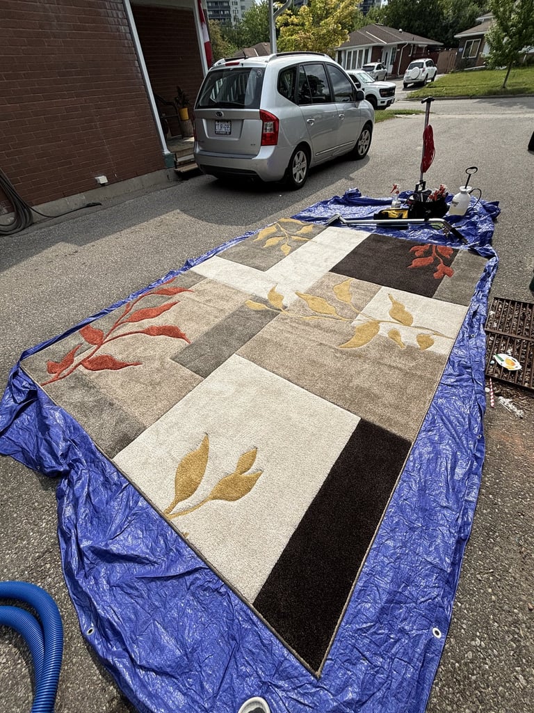 Coloured synthetic rug on tarp. Professional in-home cleaning keeps your floors safe.