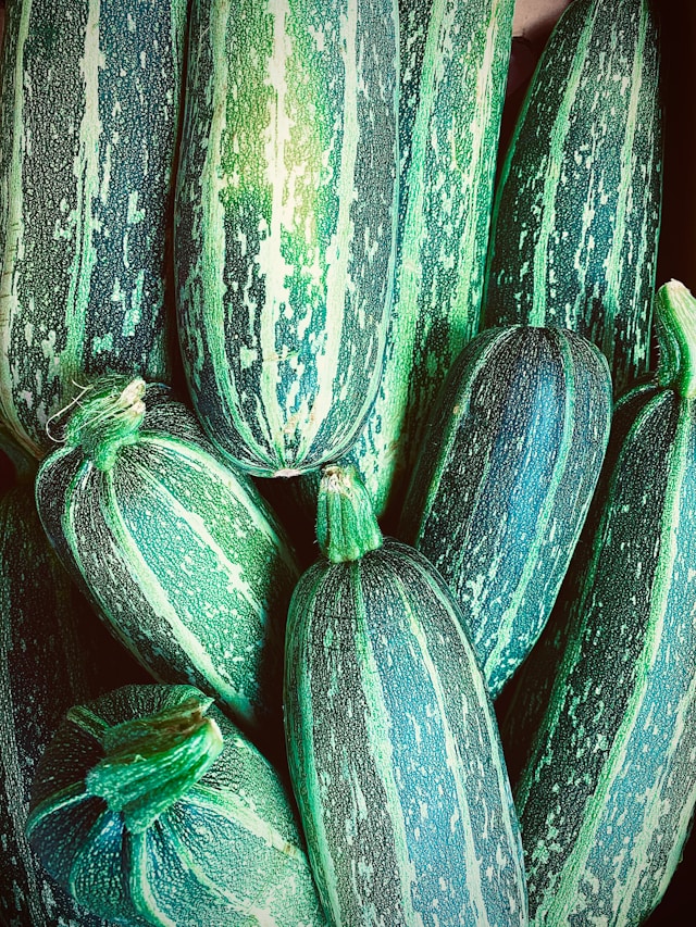 Zucchini