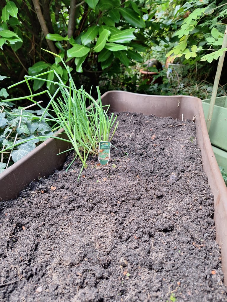 the final garden with no weeds