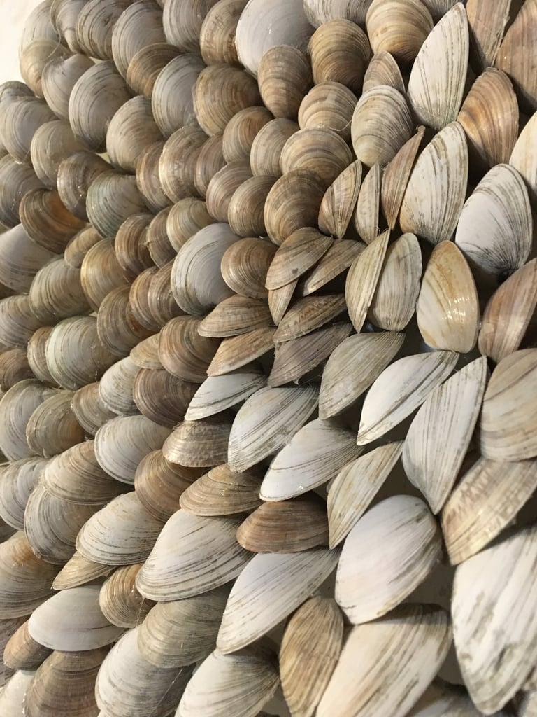 detail of a clam shell mandala art piece