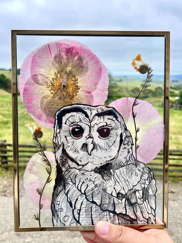 a drawing of a northern spotted owl surrounded by pressed flowers